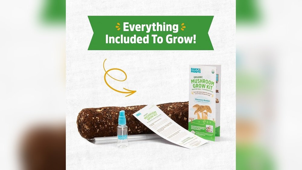 Shiitake Cultivation at Home: The Easiest Gourmet Mushroom to Grow