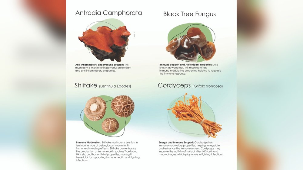 Shiitake for Antiviral Defense: Lentinan'S Role in Fighting Infections