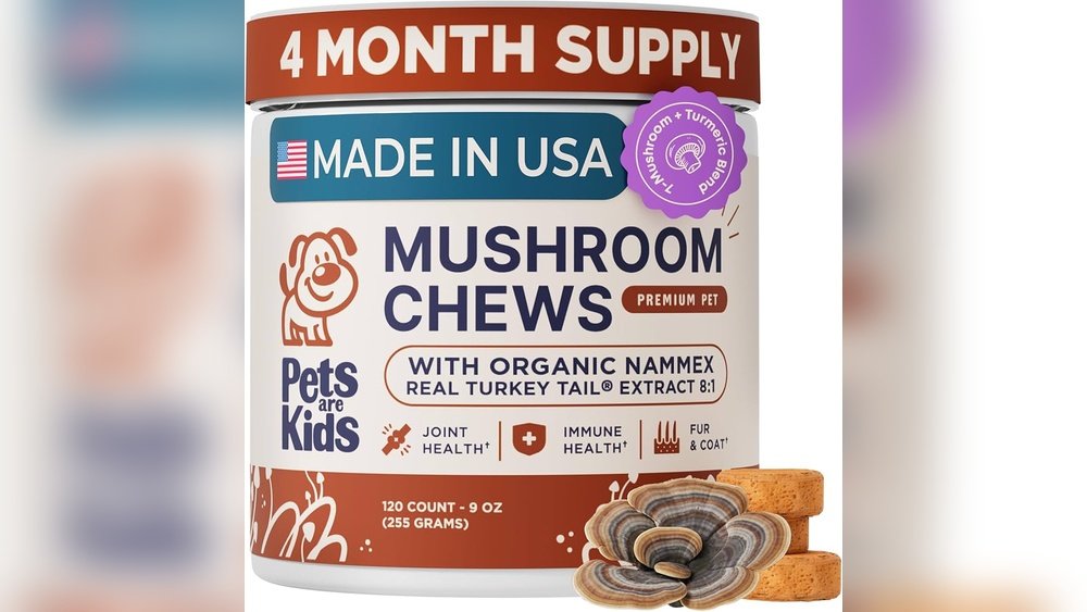 Shiitake for Gut Health: Prebiotic Benefits You Didn'T Know About