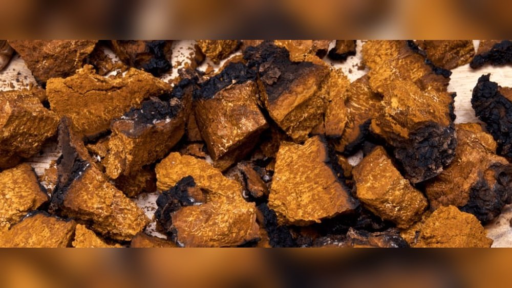The Antioxidant Power of Chaga: Orac Scores And What They Mean