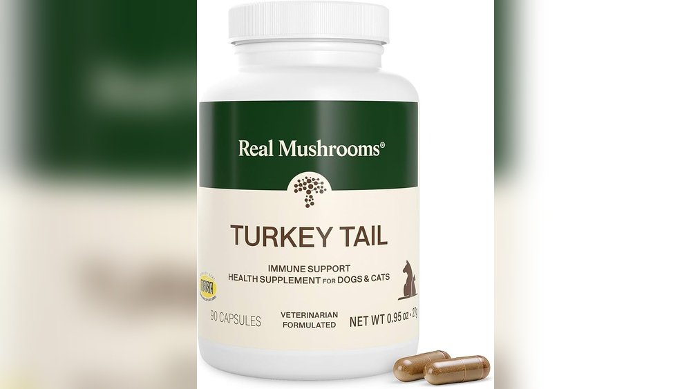 Turkey Tail for Pets: Immune Support Protocols for Cats And Dogs