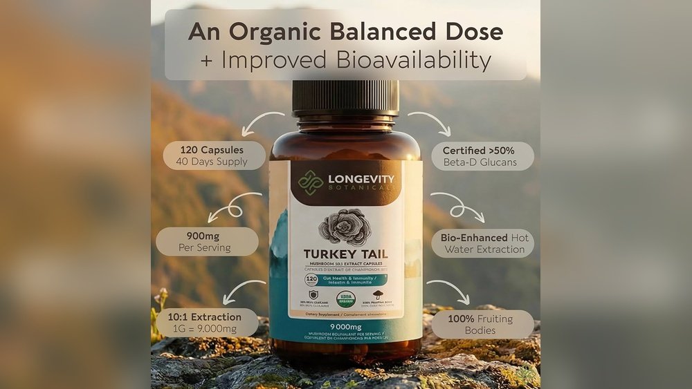 Turkey Tail Hot Water Extract Vs Capsules: Bioavailability Compared