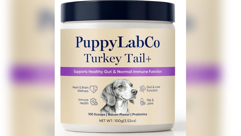 Turkey Tail Mushroom for Dogs: Immune Support for Your Pet