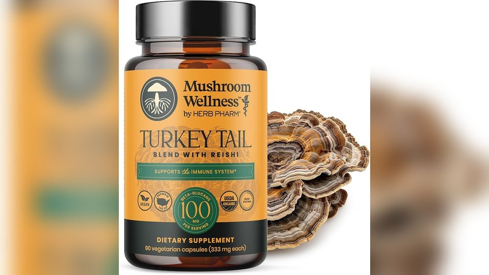Using Turkey Tail Alongside Conventional Wellness Routines: What to Know